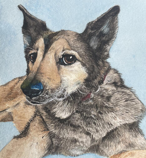 I paint in watercolour...